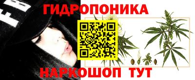 шишки Абинск