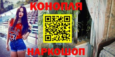 эйфоретик Владивосток