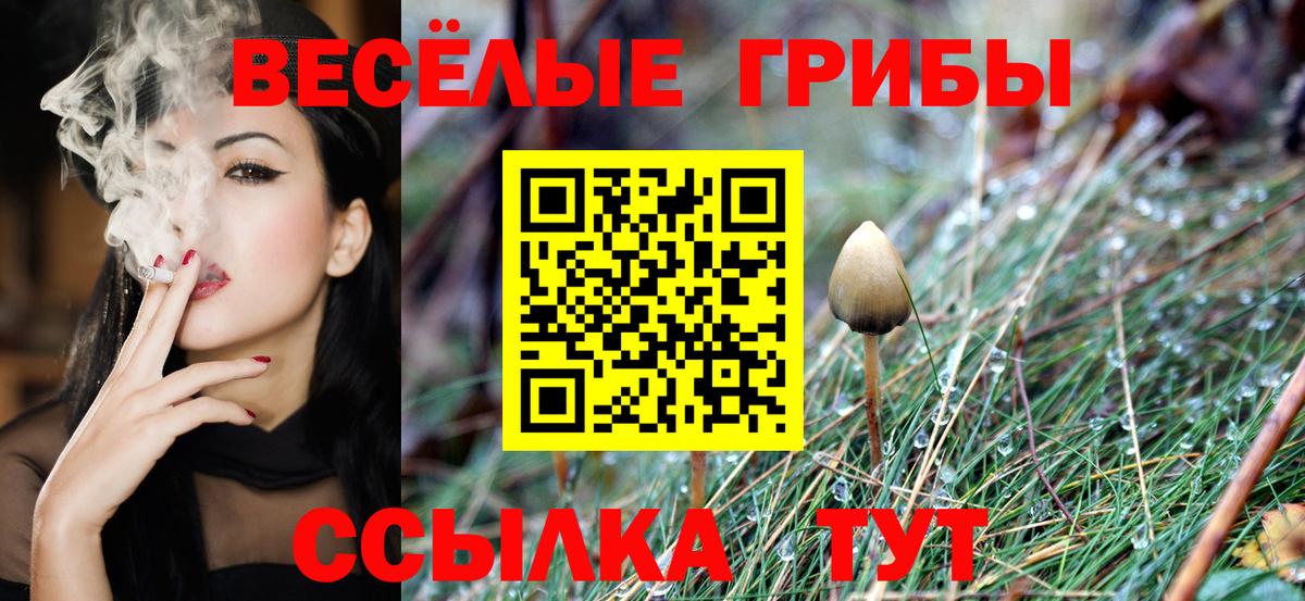 Галлюциногенные грибы мицелий  Вход с VPN  Галлюциногенные грибы Psilocybe  Орск 