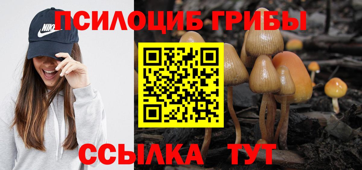Псилоцибиновые грибы Cubensis  Псилоцибиновые грибы MAGIC MUSHROOMS  купить наркоту  Орск 