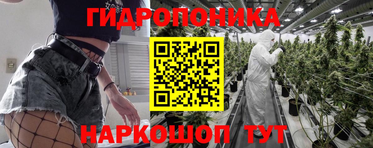 Канабис конопля Орск